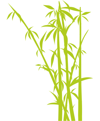 Arbol Bamboo