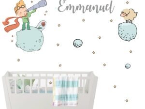 El Principito 9-4