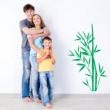 Bamboo