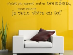 Parce que Voler (Frances)