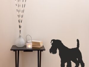 Schnauzer