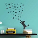 Gato y Estrellas