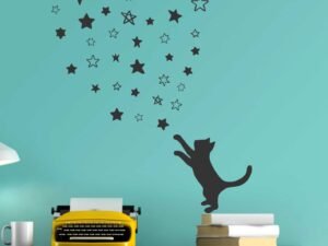 Gato y Estrellas