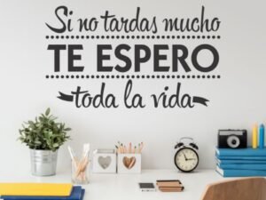 Si no tardas mucho