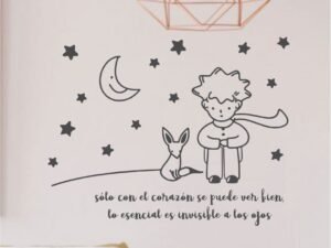 El Principito 10