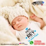 Body BDP3-6