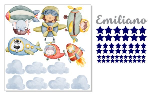 Animals and Air Transportation