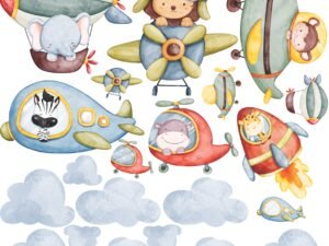 Combo de Vinilo + Medidor Animals and Air Transportation