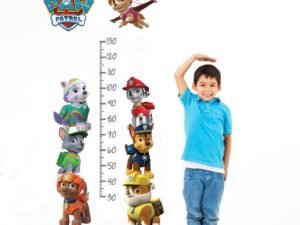Medidor Paw Patrol